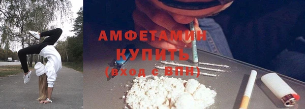 сатива Абинск