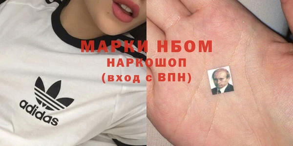 молекула духа Надым