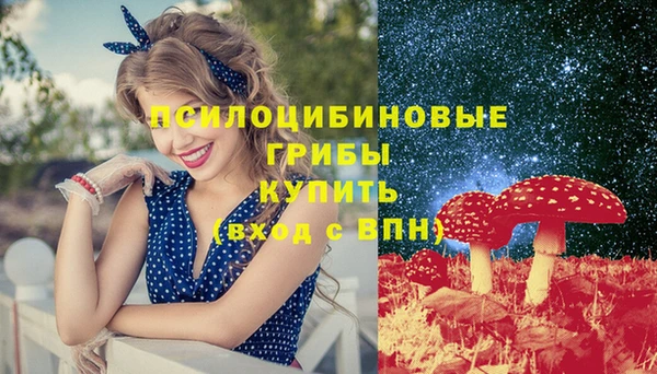 Альфа ПВП Алексин