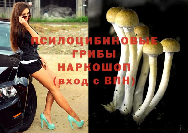 Альфа ПВП Алексин