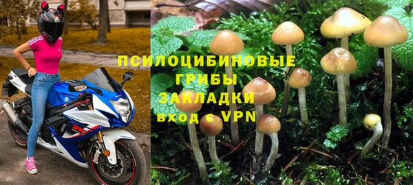 бутират Алзамай
