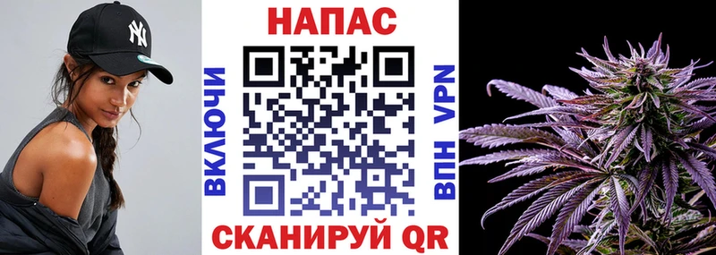 ОМГ ОМГ Тейково Шишки марихуана сатива